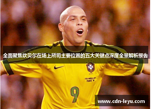 全面聚焦坎贝尔在场上所司主要位置的五大关键点深度全景解析报告