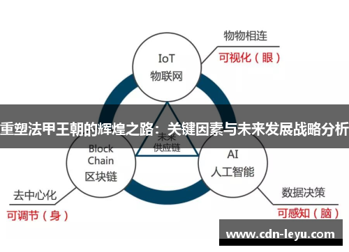重塑法甲王朝的辉煌之路：关键因素与未来发展战略分析